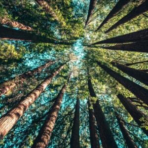 Sustainability in 3D Printing and Laser Engraving