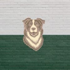 Laser Engraved 3D Border Collie Wooden Wall Art – Unique Dog Lover Gift